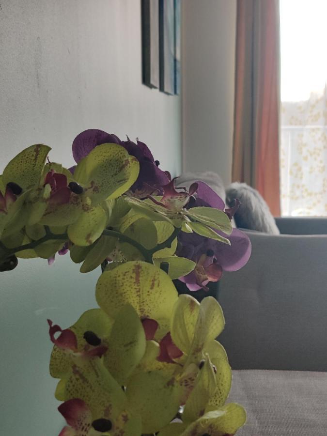Apartment mit 2 Schlafzimmern