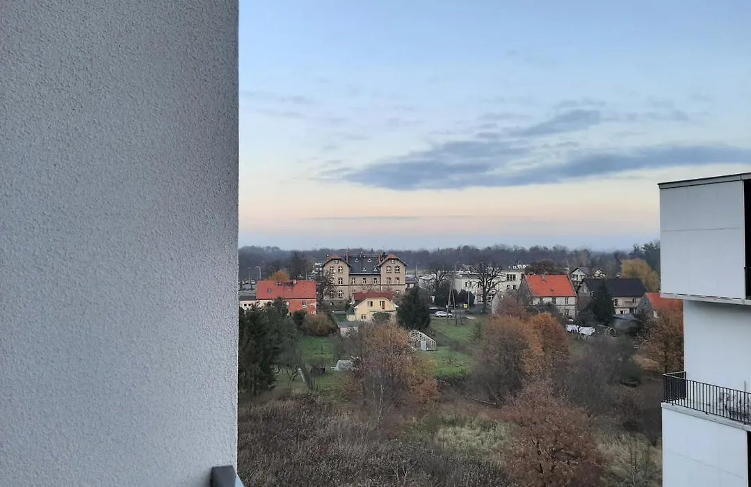 Roza- Lotnisko-1
