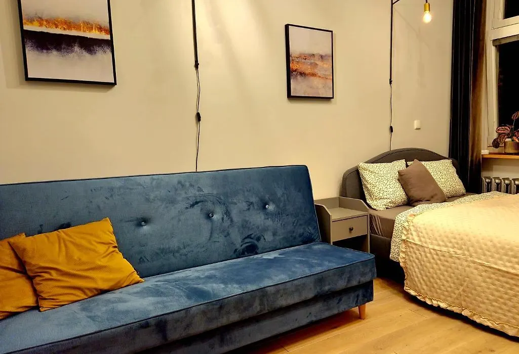 Spacious Apart In The Center- Main Square 300M-1