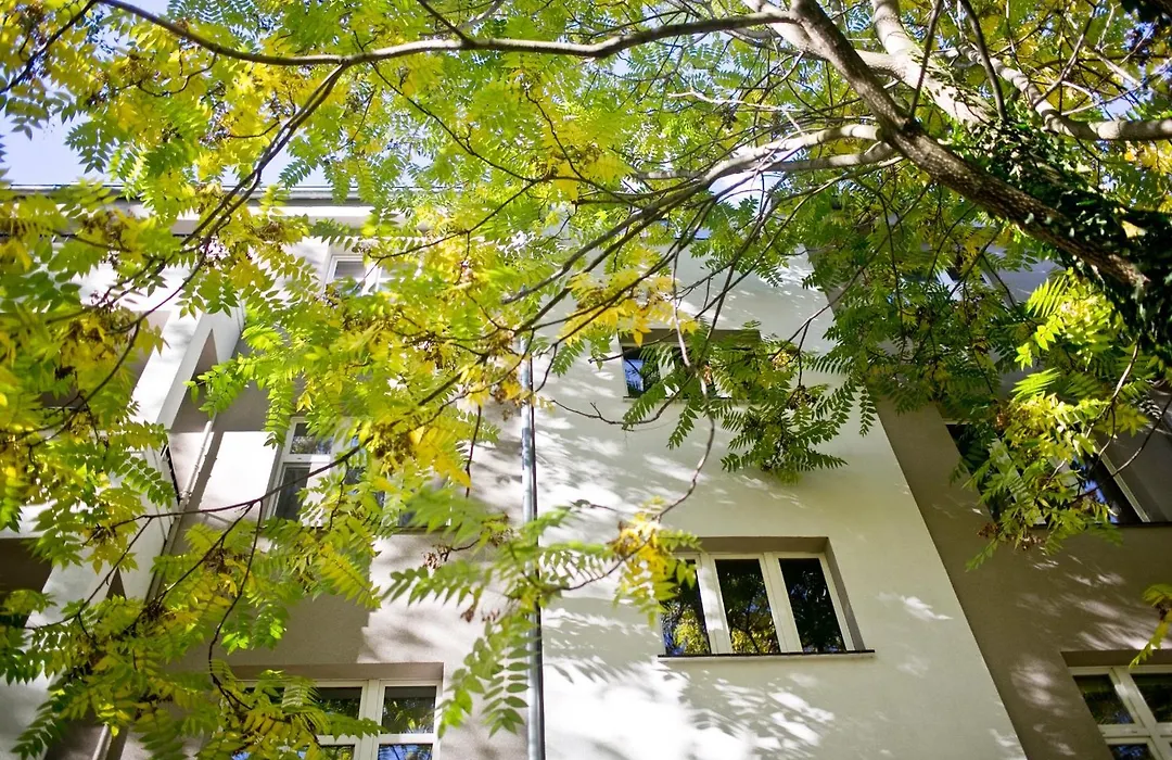 LEVELOFT - przestronny, stylowy apartament na zielonej ulicy w centrum-1