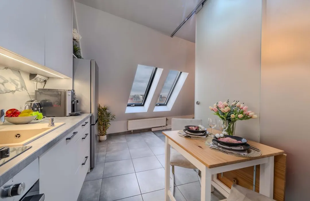 Luksusowy Apartament w samym centrum miasta-1