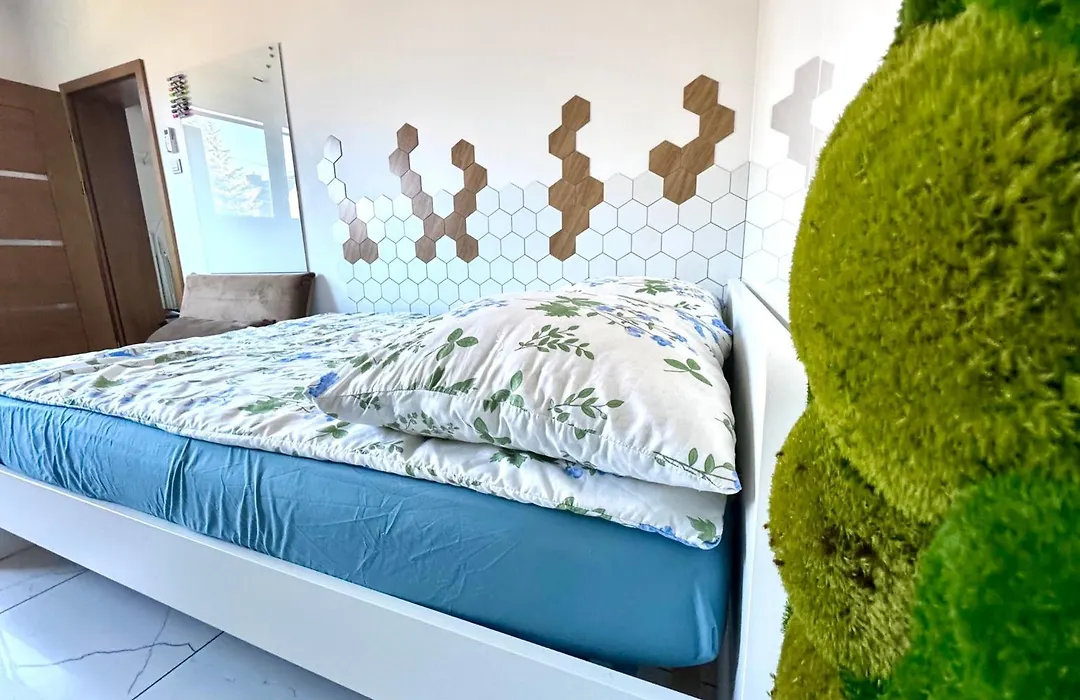 Biokompas Spa Apartment-1