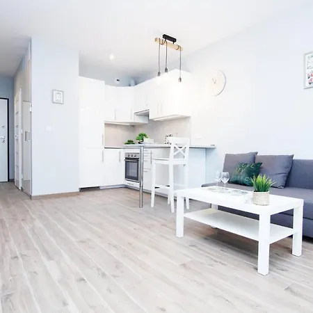 Blue River - Walonska 19 - Private Apartment-2