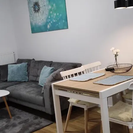 Apartament na Armii Krajowej, blisko centrum i aquaparku, darmowy parking-3