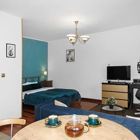 Cozy Apartment-2