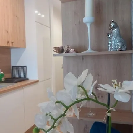 Jaworska 4 Apartments Wroclaw-2