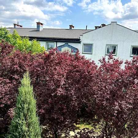 Apartament Kozia-2