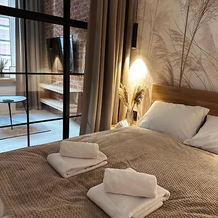 Wolnosci9 Stylowy Apartament W Centrum Wroclawia Tuz Przy Nfm-3