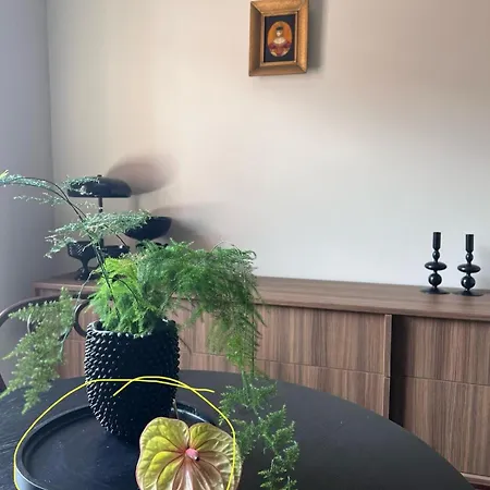 Entu Apartamenty Odrzanska-2