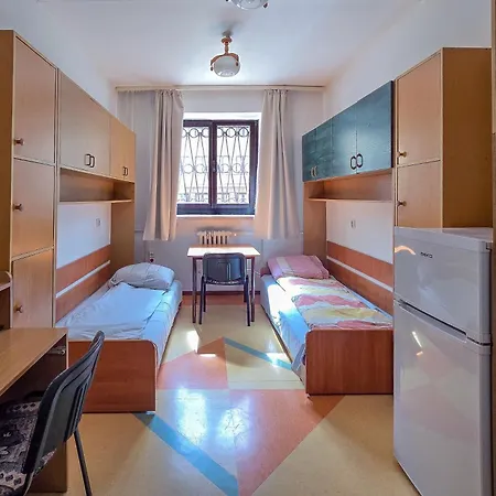 Dizzy Daisy Hostel-2
