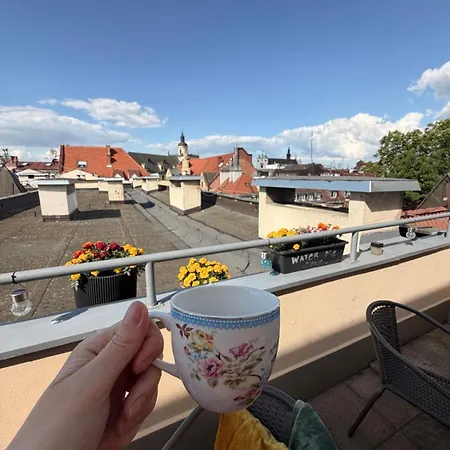 3-Bedroom Apt In Town Square-3