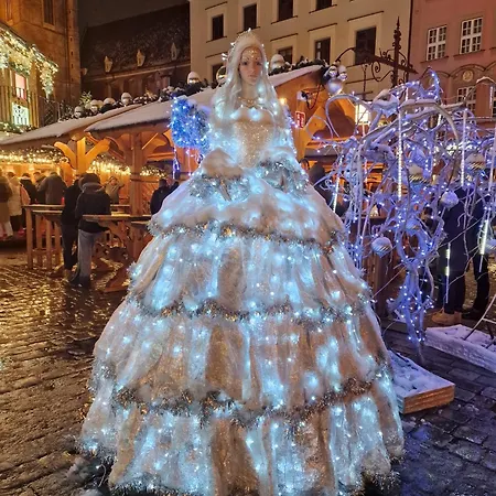 Rynek Pod Fredra-2