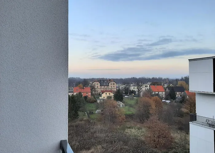Roza- Lotnisko