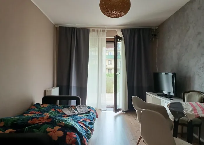 Maestro Z Tarasem I Garażem