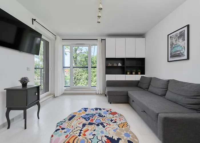 Spacious Dmowskiego By The River With Parking & Balcony By Noclegi Renters