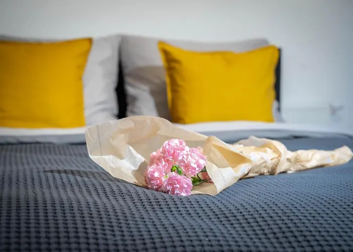 Apartament w Śródmieściu Odnowa Wrocław, Polska