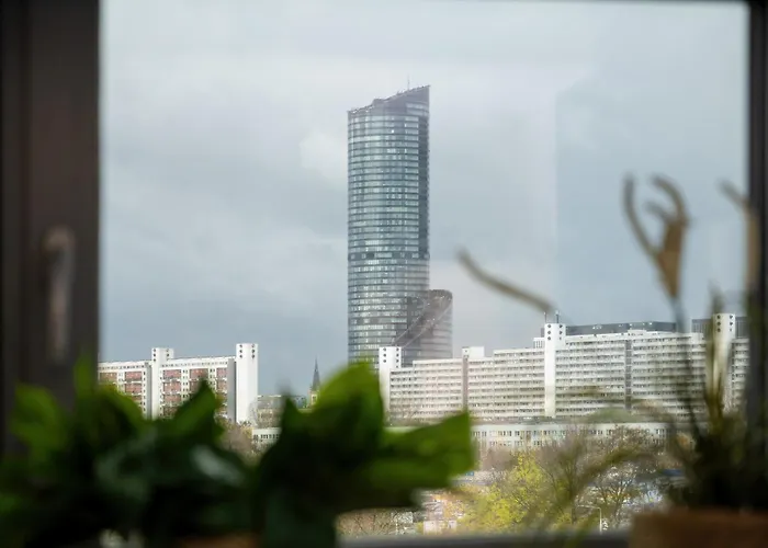 Dyrekcyjna 1