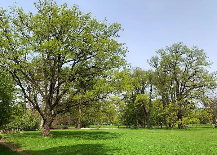 Stylowy Park Wawrzyniaka