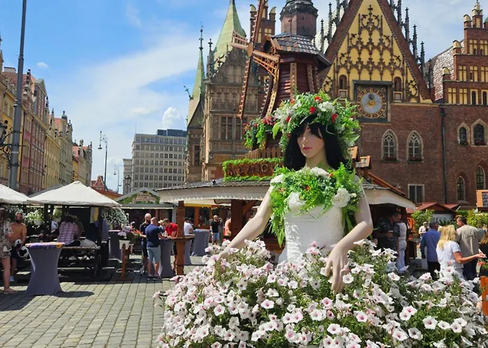 y Hexus - Swidnicka - Centrum Rynek