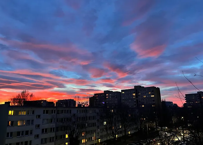 Skyview Serenity